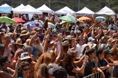 DSC_2065 (Large).JPG